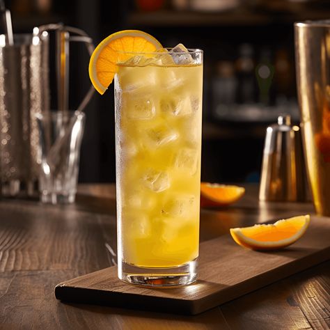 Seaboard Cocktail Recipe - The Seaboard cocktail is a harmonious blend of sweet, sour, and slightly bitter flavors. It has a refreshing and crisp taste with a hint of fruitiness and a smooth, velvety finish. Cool Drinks To Make, Orange Juice Aesthetic, Ginger Mocktail, Orange Mocktail, Spicy Drinks, Blame It On The Alcohol, Orange Cocktail, Orange Wheels, Fresh Orange Juice