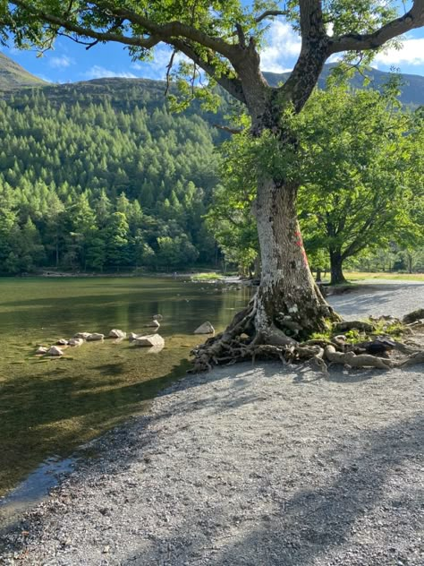 Lake District Aesthetic, Lake District Camping, Summer Nights With Friends, Spiritual Goddess, Nights With Friends, Finding Hope, Uk Photography, The Lake District, Gods Creation