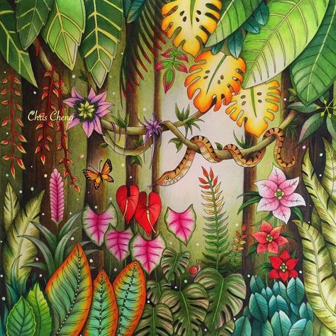 Chris Cheng, Johanna Basford Magical Jungle, Magic Jungle, Magical Jungle Johanna Basford, Joanna Basford Coloring, Johanna Basford Secret Garden, Enchanted Forest Coloring, Joanna Basford, Magical Jungle