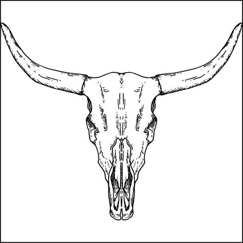 Bull Line Art Longhorn Tattoo Stencil, Bull Lines Tattoo, Bull Skull Tattoo Stencil, Bull Head Tattoo Women, Bull Head Outline, Bull Skull Outline, Long Horn Drawing, Bull Skull Tattoo Design, Bull Head Tattoo