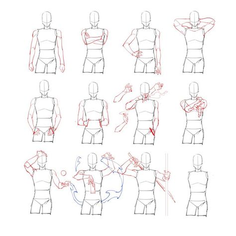 Use these helpful drawing references to draw people in different positions Arm Anatomy, Arm Drawing, Anatomy Tutorial, Drawing Body Poses, Body Reference Drawing, Anatomy Poses, Anatomy Drawing, Figure Drawing Reference, Poses References