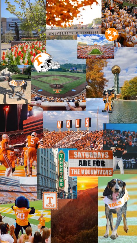 utk university of tennessee knoxville collage wallpaper campus college neyland stadium SEC smokey moodboard america south football baseball University Of Tennessee Aesthetic Wallpaper, Neyland Stadium Wallpaper, Tennessee Backgrounds, Tennessee Wallpaper, Tennessee College Football, Tn Vols Football, Univ Of Tennessee, Football Collage, Tennessee College