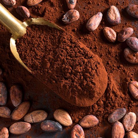 cacao beans and cacao powder Benefits Of Cacao Powder, Cacao Aesthetic, Cocoa Vs Cacao, Benefits Of Cacao, Cacao Powder Benefits, Cacao Benefits, Energy Balls Healthy, Chocolate Benefits, Vegan Chocolate Bars