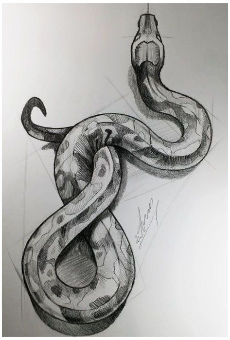 Png Tattoo, Knife Tattoo, Sign Tattoo, Snake Drawing, Female Tattoos, Animal Drawings Sketches, Men Tattoos, Snake Art, Virgo Sign