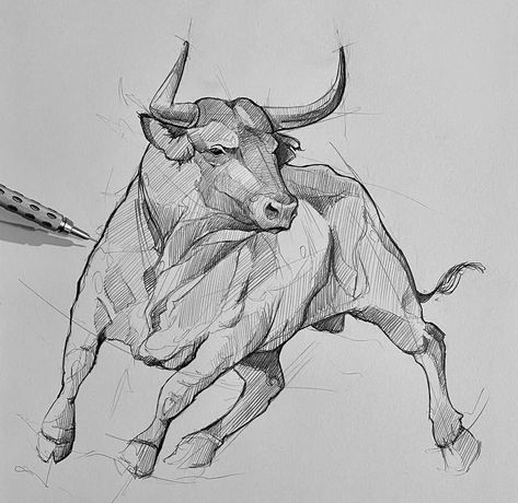 Sketch. Insta| @art_iusupov Bull Art Drawing, Bull Painting, Cow Drawing, Bull Tattoos, Pencil Drawings Of Animals, Bull Art, Animal Drawings Sketches, Pet Dragon, Animal Study