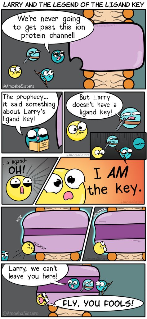 Biology Jokes Science Humor, Biology Comics, Bio Jokes, Amoeba Sisters, Biology Memes, Science Cartoons, Science Comics, Biology Humor, Nerd Memes