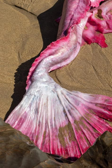 Barbie Mermaid Tale, Pink Mermaid Tail, Realistic Mermaid Tails, Professional Mermaid, Realistic Mermaid, Mermaid Stories, Tail Mermaid, Barbie Mermaid, Silicone Mermaid Tails