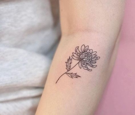 15 Most Beautiful Chrysanthemum Tattoo Designs, Chrysanthemum tattoo minimalist, Chrysanthemum Forearm Tattoo, Delicate Chrysanthemum Tattoo, Blooming Chrysanthemum tattoo, Chrysanthemum Flower Outline tattoo, Chrysanthemum Wrist Tattoo, Chrysanthemum And Scorpio Tattoo, Mini Chrysanthemum Tattoo, Daffodil Chrysanthemum Tattoo, Crysantenum Tattoo, Tiny Chrysanthemum Tattoo, Chrsanthym Tattoo, Chrysthanemum Tattoo, Crysantenum Flower Tattoo Design