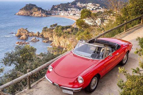 What a view! 😎 www.BookAclassic.com #BookAclassic #classiccar #carlovers #lovecars #luxurycars #supercars #weddingcar #vintagecar #oldtimer #youngtimer #prewarcar #wedding #AlfaRomeo Alfa Romeo Spider Duetto, Car Moodboard, Alfa Romeo 1750, Alfa Romeo Giulia Quadrifoglio, Bike And Car, Truck Pics, Alfa Romeo 8c, Vintage Spider, Alfa Alfa