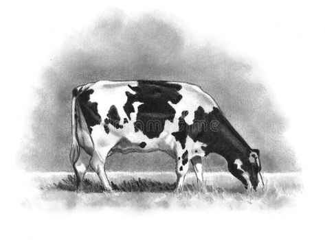 Pencil Drawing of Holstein Cow Grazing. My pencil drawing of a Holstein cow graz #Sponsored , #Sponsored, #Paid, #Holstein, #Pencil, #cow, #Cow Realism Pencil Drawing, Realism Pencil, Cow Eating, Cow Grazing, Farm Animal Paintings, Farm Wall Decor, Farm Animal Painting, Beginner Drawing, Cow Drawing