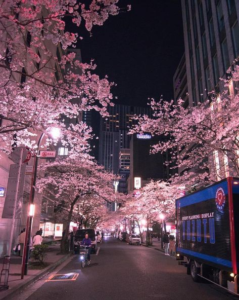 Japan Travel Guide Osaka #TravelToJapanVaccinations Refferal: 2426185803 #JapanTravelCities Cherry Blossom Trees, Japon Illustration, Japan Aesthetic, Aesthetic Japan, City Wallpaper, Japanese Aesthetic, Blossom Trees, Night City, Night Aesthetic