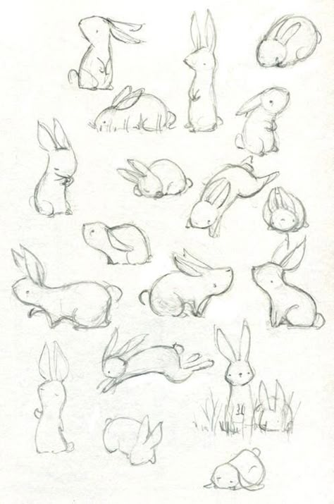 Easy Animals, Drawing Animals, Drawing Faces, Art Et Illustration, Animal Sketches, Arte Animal, Sketch Art, Drawing Challenge, Art And Illustration