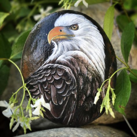 Hand painted Eagle on a rock. By Trinh Baxter #xtrinhx Amazing Realistic Drawings, Eagle Painted Rocks, Eagle Rock Painting, Bird Rock Painting, Rock Animals, Eagle Painting, Painted Rock Animals, Diy Rock Art, Painting On Rocks