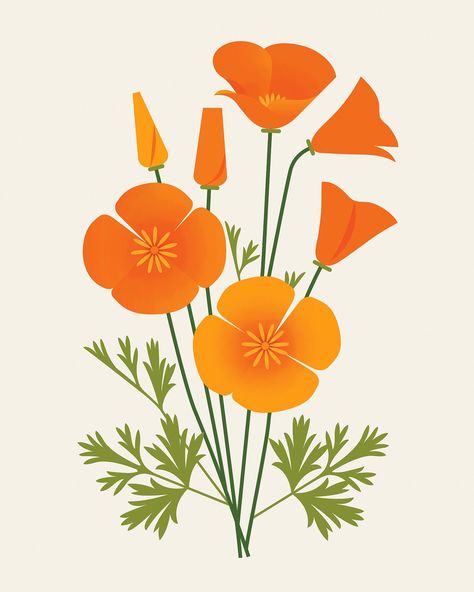 California Poppy Drawing, California Poppy Art, Diy Wine Glasses Painted, Poppy Drawing, Custom Portrait Illustration, Flowers Images, Beautiful Flowers Images, Flower Collage, No Rain No Flowers