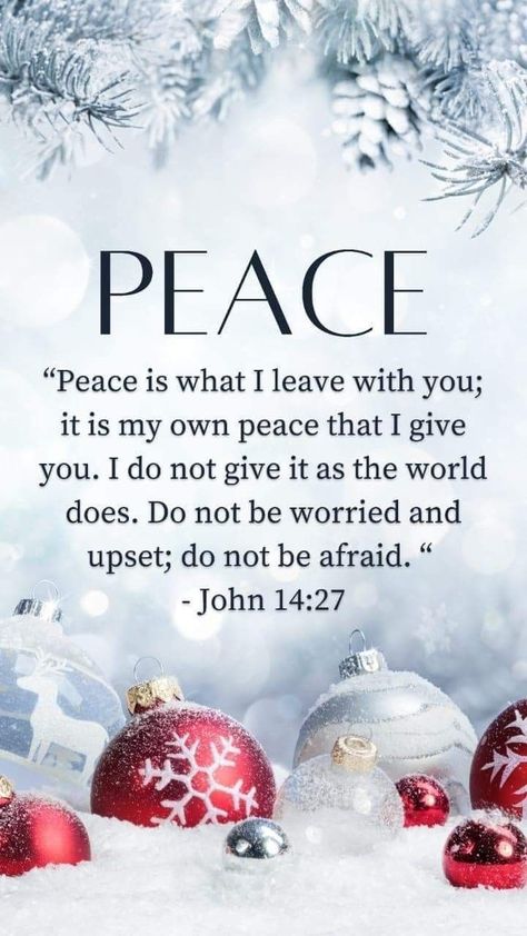 Amén~ 16 December 2022 ♥️🕊✨️🙏✝️🌟🎄🥁👼🏼🎻👑🎩🔔 Xoxo December Sunday Quotes, Christmas Quotes Scriptures, December Sayings Quote, Christmas Scripture Verses, Thank The Lord, Christmas Scripture, Christmas Bible Verses, 16 December, Christmas Bible