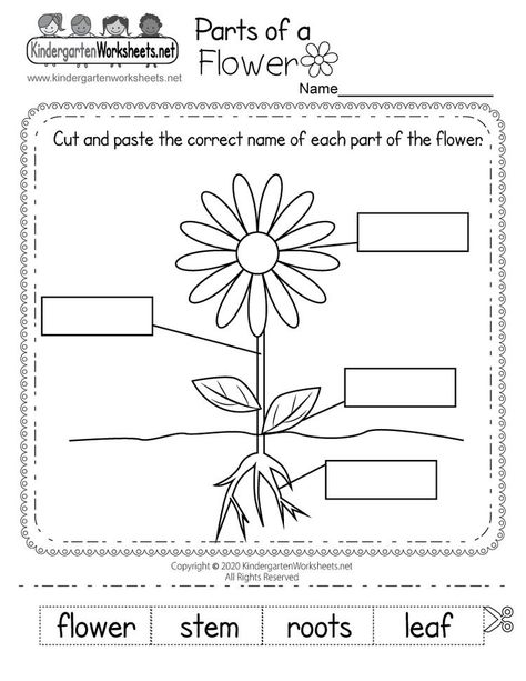 May Worksheets Free Printable, Kindergarten Laminating, Worksheet On Flowers For Kindergarten, Parts Of A Plant Free Printable, What Do Plants Need To Grow Worksheets, Parts Of A Flower Kindergarten, Parts Of A Plant Worksheet Kindergarten, Part Of Flower Worksheet, Parts Of Flowers For Kids