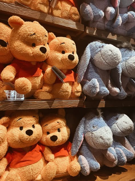 Disney Stuffed Animals Aesthetic, Disneyland Merch, Bears And Flowers, Disney Plushies, Disney Stuffed Animals, Disney Cuties, Winnie The Pooh Plush, Teddy Bear Pictures, Winnie The Pooh Friends