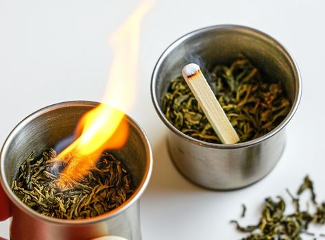 Burn Rosemary at Home: Discover What Happens Just Minutes Later - Crafty Home Creators Burning Rosemary, White Beans And Ham, Smudging Prayer, Lasagna Gardening, Natural Disinfectant, Ham Soup, House Smell Good, Ham And Bean Soup, Natural Fertilizer