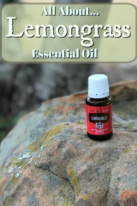 Lemongrass Essential Oil Recipes, Lemongrass Essential Oil Uses, Lemongrass Essential Oil Benefits, Oils For Cough, Essential Oils For Cold, Essential Oils For Cough, Oils For Colds, Diffuser Essential Oils, Essential Oils For Colds