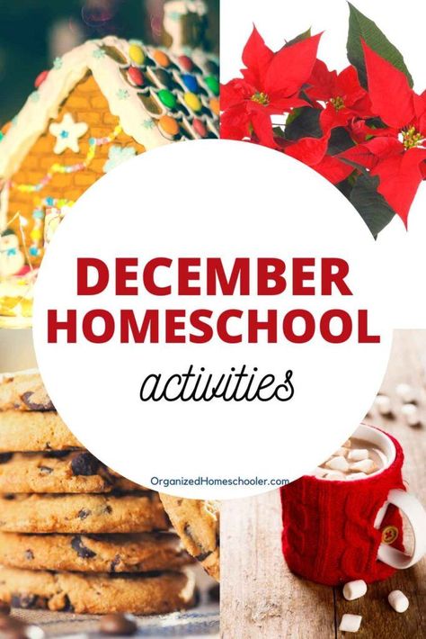 Month Of December Activities, School Holiday Activities At Home, December Homeschool, Homeschool Christmas, Silly Holidays, December Lessons, Homeschool Holidays, National Cookie Day, School Holiday Activities