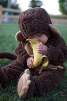 Gorilla eating a banana. Baby Monkey Costume, Monkey Costumes, Baby Kostüm, Side Bed, Foto Baby, Sleep Cycle, Changing Bag, Little Monkeys, Baby Monkey