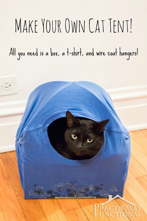 Diy Old Tshirts, Diy Cat Tent, Wire Coat Hangers, Kat Diy, Beds Diy, Tent Bed, Cat Tent, Bed Tent, Coat Hangers