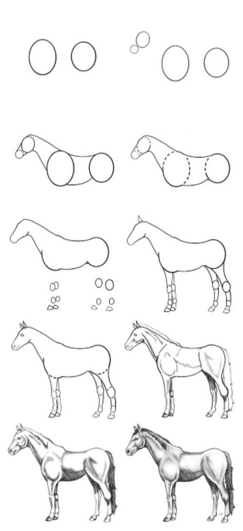 Horse Drawing Simple, Drawing A Horse, Easy Horse Drawing, Horse Drawing Tutorial, Animal Sketches Easy, Horse Pencil Drawing, Drawing Horse, Horse Art Drawing, Horse Sketch