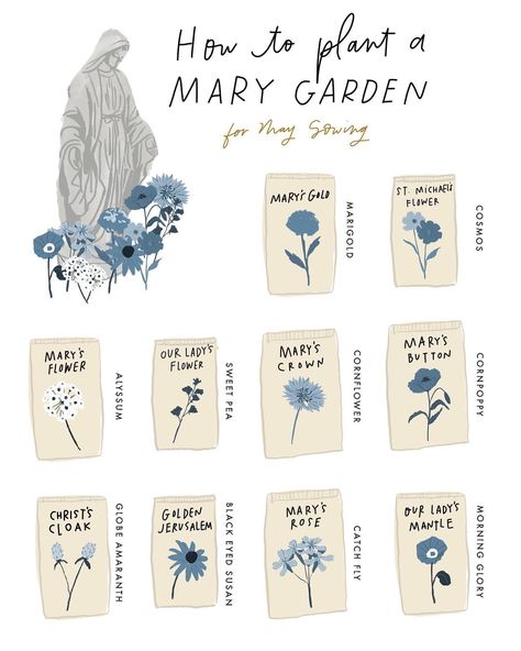 Marian Garden, Religious Names, Mary Garden, Prayer Garden, Catholic Decor, Prayer Corner, Catholic Home, Blessed Mother Mary, Blessed Mother