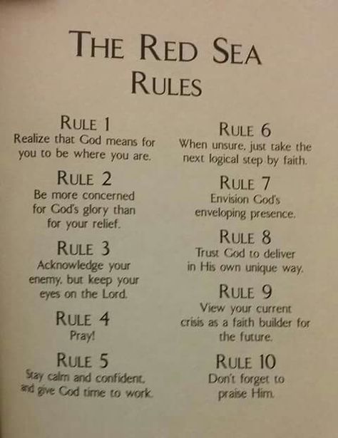 Red sea rules The Red Sea, Bible Study Notebook, Bible Study Lessons, Ayat Alkitab, Bible Study Verses, Bible Facts, Bible Study Notes, Bible Teachings, Prayer Scriptures