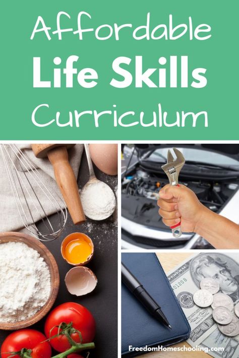 Homeschool Life Skills, Kids Life Skills, Homeschool Electives, Life Skills Kids, Important Life Skills, Life Skills Curriculum, 7 Sisters, Homeschool Middle School, Life Skills Lessons