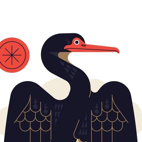 Nick Slater on Instagram: "Animals: Cormorant  #illustration #birds #cormorant #vectorart" Bird Illustration Vector, Nick Slater, Tromso, Ocean Conservation, Bird Illustration, Illustration Vector, Bird Art, Marine Life, Vector Art