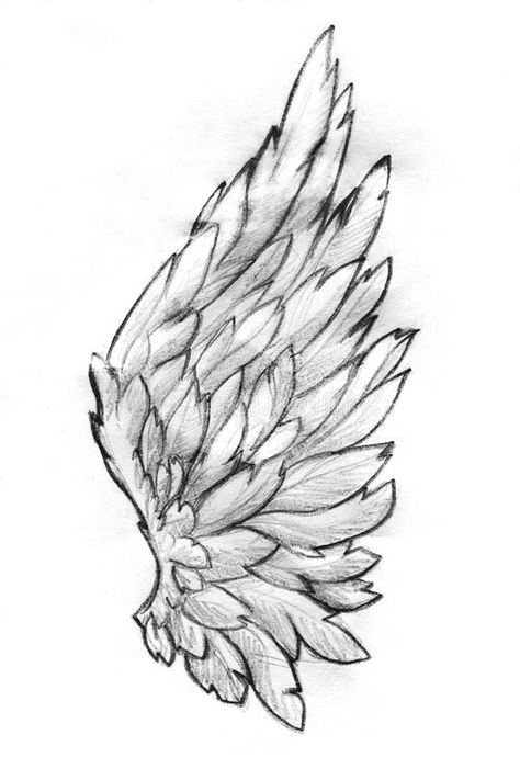 Wings Sketch, Angel Wings Drawing, Kunst Tattoos, Wings Drawing, Angel Wings Tattoo, Angel Drawing, 얼굴 그리기, Wings Art, Celtic Tattoos