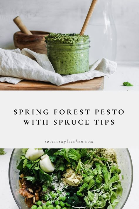 Spruce Tips Recipes, Foraged Food Recipes, Foraged Meals, Simple Pesto Recipe, Foraged Recipes, Nettle Recipes, Wild Food Recipes, Spruce Tips, Wild Food Foraging