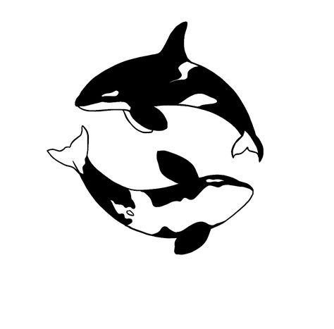 Orca Yin Yang Tattoo, American Traditional Orca Tattoo, Cute Orca Tattoo, Orca Whale Tattoo Design, Orca Whales Drawing, Orcas Painting, Orca Doodle, Orca Tattoo Simple, Orca Sketch