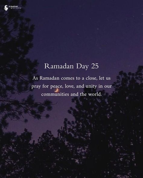 Islamic Quotes ❤ on Instagram: "Ramadan Day 25 🫶🕊️" Ramadan Day 25 Quotes, Ramadan Day 25, Ramadan Day 22, 2024 Ramadan, Birthday Niece, Happy Birthday Niece, Eid Pics, Printable Islamic Art, Ramadan 2024