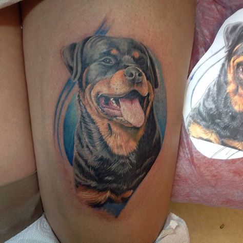 Rottweiler Tattoo Ideas, Angry Rottweiler, Tattoos For Dogs, Tattoo Perro, Rottweiler Temperament, Rottweiler Names, Rottweiler Pictures, Rottweiler Tattoo, German Dog Breeds