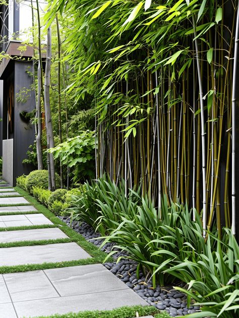 Fast-Growing Plants: Bamboo Privacy Screen and Manicured Garden Path Bamboo Front Yard, Bamboo Trees Landscaping, Bamboo Courtyard Garden, Tall Plants Outdoor Privacy Fences, Outdoor Fencing Ideas, Garden Bamboo Ideas, Bamboo Landscape Ideas, Bamboo In Garden, Tall Garden Fence