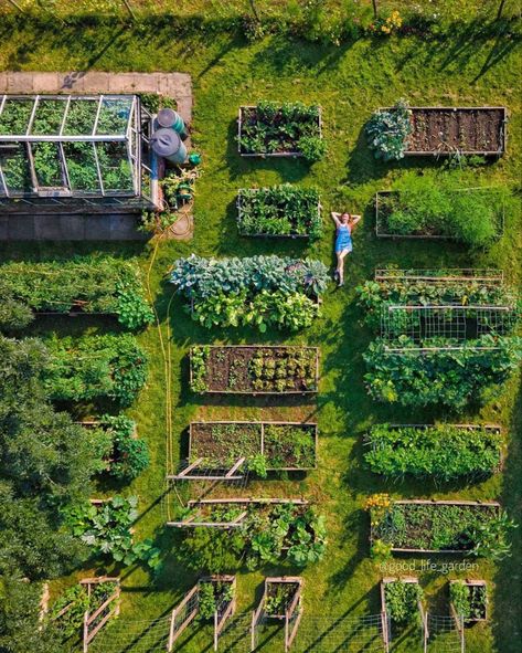 Aesthetic Home Decor Ideas, Raised Bed Gardening, Farm Lifestyle, Garden Home Decor, Have Inspiration, Home Vegetable Garden, Aesthetic Home Decor, Vegetable Garden Design, Food Garden