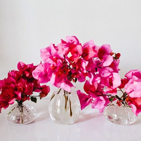 Bougainvillea Mexican Valentines, Bougainvillea Wedding, Mamma Mia Party, Colorful Centerpieces, Wedding Motifs, Simple Wedding Centerpieces, Unique Wedding Flowers, Wedding Floral Centerpieces, Flower Centerpieces Wedding