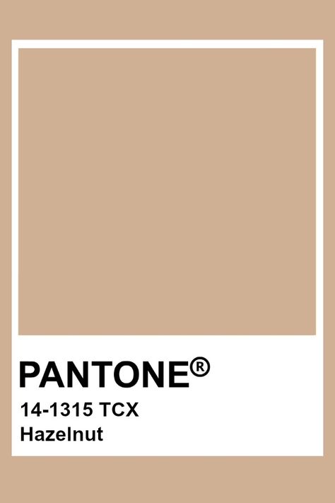 Pantone Hazelnut Pantone Paint, Brown Pantone, Pantone Tcx, Pantone Color Chart, Pantone Swatches, Pantone 2020, Pantone Palette, Pantone Colour Palettes, Colour Board