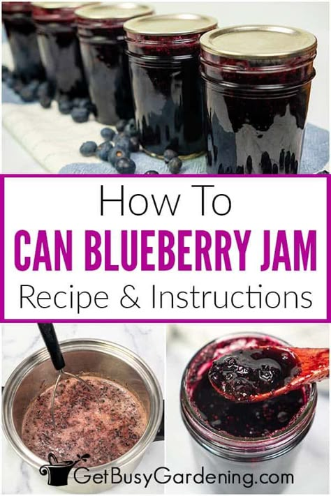 Canning Blueberry Jam - Recipe & Instructions