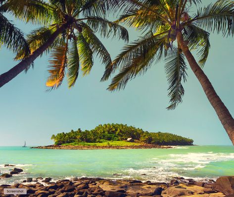 Devil’s Island, French Guiana – Hell on Earth for 100 Years Devils Island French Guiana, Trees Images, Palm Tree Images, Together In Paris, French Caribbean, Jazz Lounge, Prison Life, World Cruise, Travel America