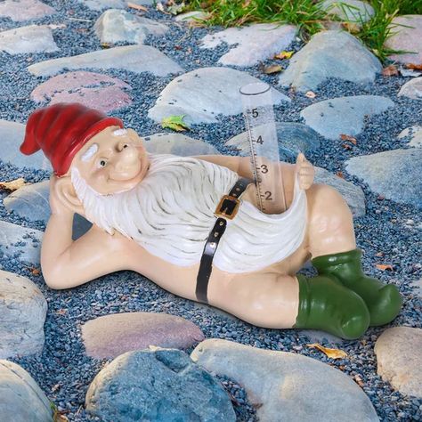 Funny Statues, Yard Gnomes, Funny Garden Gnomes, Lawn Gnome, Garden Gnomes Statue, Rain Gauge, Yard Sculptures, Outdoor Garden Statues, Fairy Statues