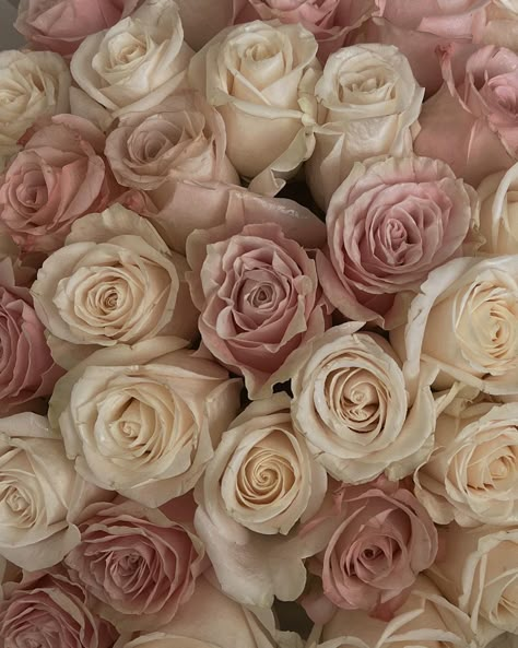 Pink And Beige Phone Layout, Beige And Light Pink Aesthetic, White And Pink Roses Aesthetic, Light Pink And Beige Aesthetic, Light Pink Asthetics Photos, Cute Pink Widget Aesthetic, Rose Beige Aesthetic, Tan Pink Aesthetic, Beige Aesthetic Flowers