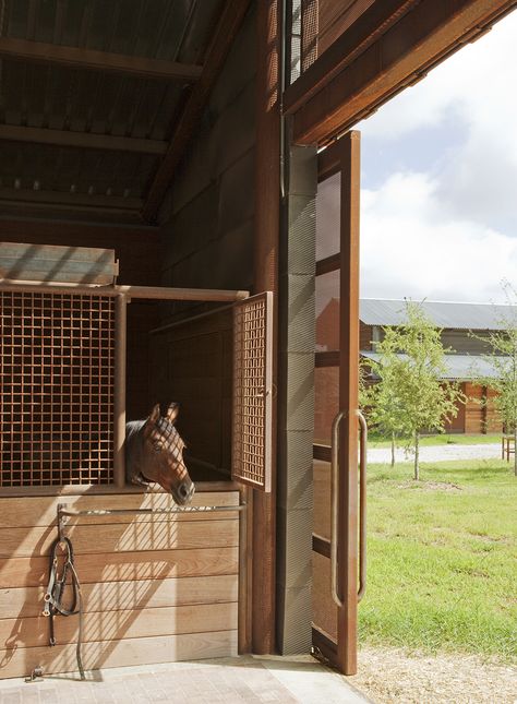 Horse Stables Design, Equestrian Stables, Stable Style, Lake Flato, Loafing Shed, Horse Barn Ideas Stables, Horse Barn Designs, Saddle Rack, Horse Facility