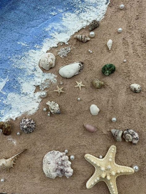 Sea Shell Astethic, Shells Widget, Shell Widget, Sea Shell Aesthetic, Shells Aesthetics, Sea Core Aesthetic, Seashell Aesthetic, Mermaid Aesthetic, Ocean Vibes