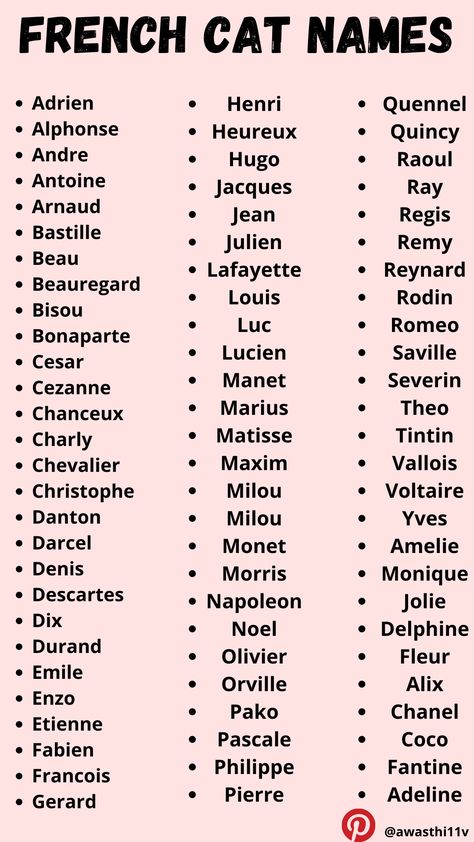 French Names For Boyfriend, Coquette Cat Names, Name Cat Ideas, Male Cat Names Unique List, French Last Names For Characters, Pretty Male Names, French Names Male, French Pet Names, French Names Boys