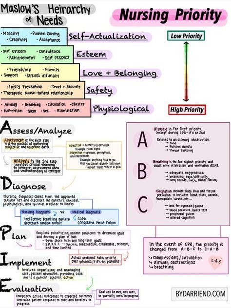 Nursing School Studying Cheat Sheets, Nursing School Organization, King Abdulaziz, Nursing School Inspiration, Nursing Study Tips, Nurse Notes, Nursing School Essential, Nursing Study Guide, Nurse Study