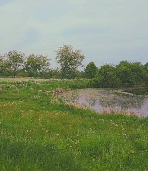 Forest Grass Nature, Green Pastures Still Waters, Green Meadow Aesthetic, Grassy Field Aesthetic, Grass Field Aesthetic, Reading Imagination, Meadow Aesthetic, Pond Aesthetic, Grassy Landscape