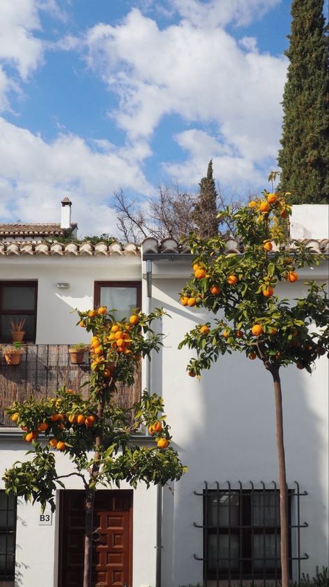 Spanish Aethstetic, Rural Spain Aesthetic, Vacation In Spain Aesthetic, Andalucia Spain Aesthetic, Home In Spain, Spain House Aesthetic, Orange Trees Aesthetic, Spain Vibes Aesthetic, Spain Aethestic